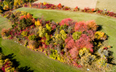 Herbst