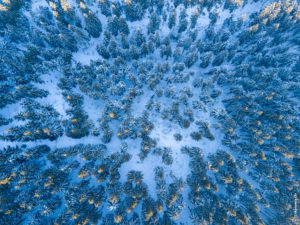 Rennsteig unter Schnee